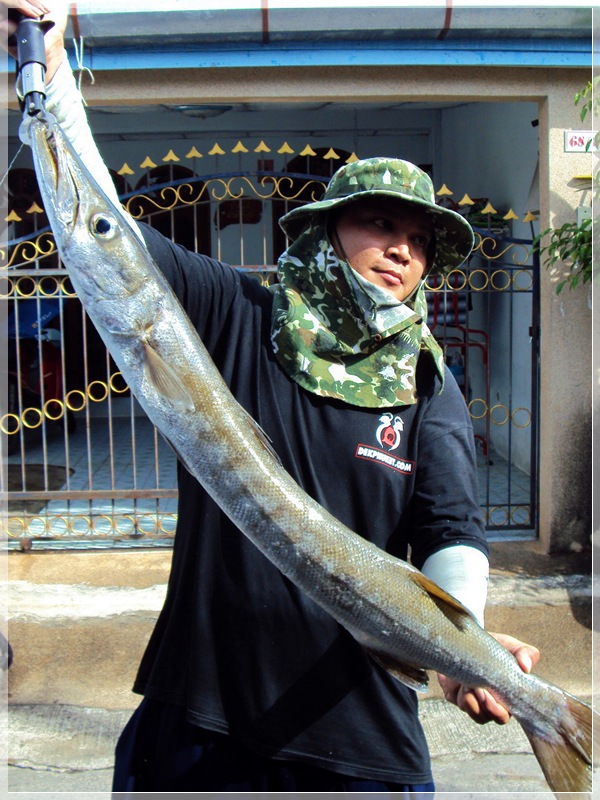  [b]สากเหลือง 3.8 กิโล

สากเหลืองใหญ่ๆก็
