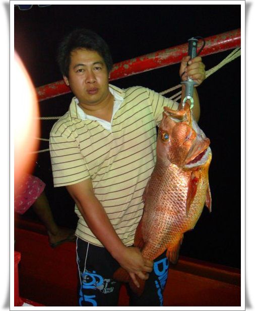      สายเอ็นขยับตัวรั้นปลายคัน CHOJIN โค้งลง  คนถือคันมือหนึ่งกุมรอก
มีหัวแม่มือกดอยู่ที่ตัวสะปูนตว