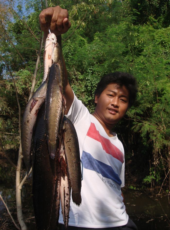 3ชั่วโมงช่วงเช้ากับปลาที่ได้มาครับ :smile: