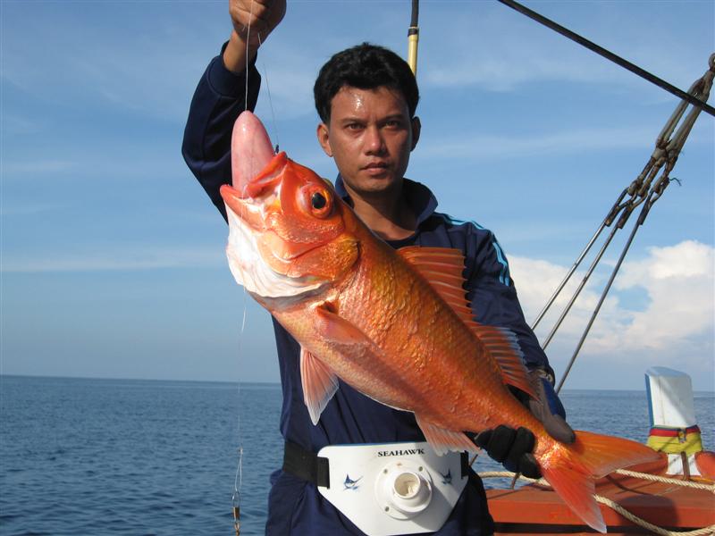 หาปลาสีทองตามขอบร่องหน้าผา   ช่วงนี้เริ่มมีตัวใหญ่ๆแล้วครับ    :grin: