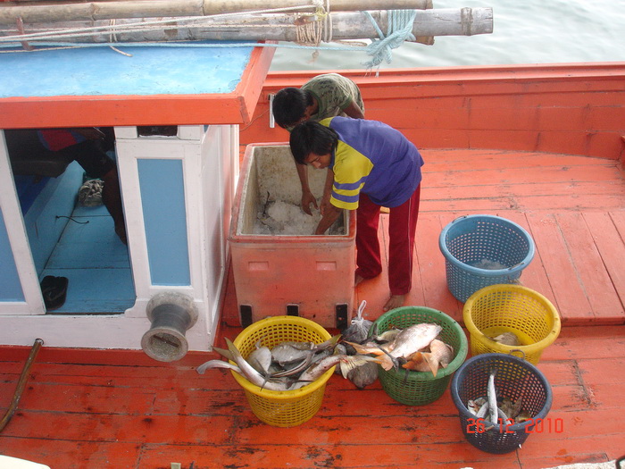เดินทางกลับถึงท่าเรือประมาณบ่ายสา