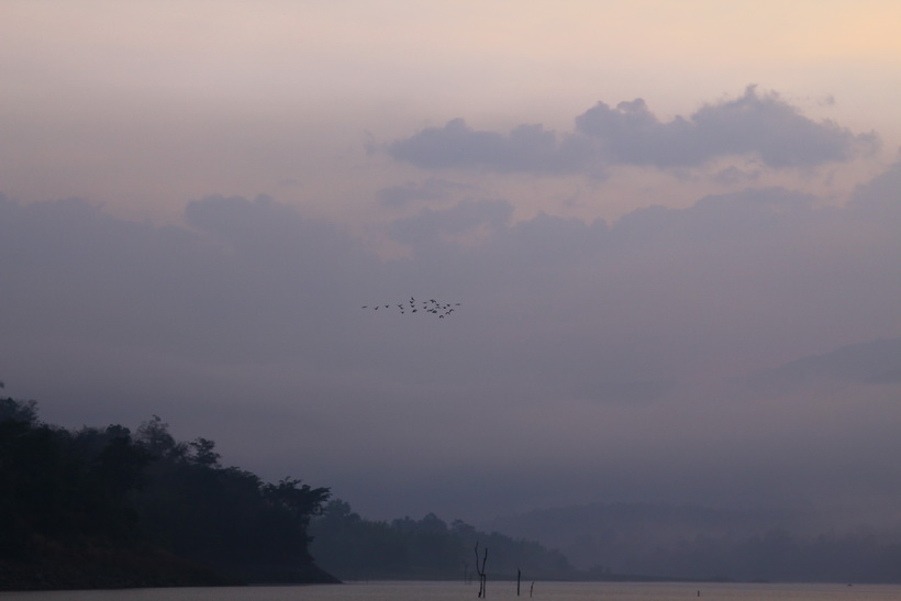 นั่งเพลินอยู่หัวเรือ  ดูปลาจิบไปเรื่อย เจอวิวก็เก็บภาพ เจอปลาจิบก็หวด ไม่เห็นอะไรก็นั่งคิดอะไรไปเพลิ