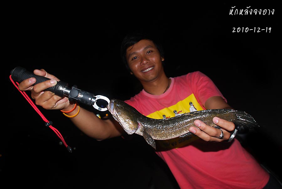 แต่ มีไอ่ตัวนี้ เพิ่มมาด้วย

ตาเจน อ
