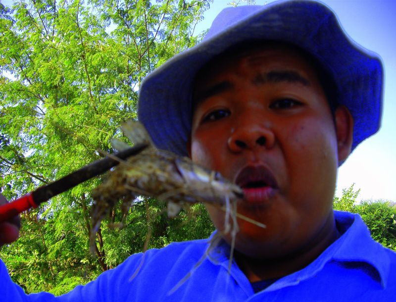 เด็กอยากเหล่อ5555