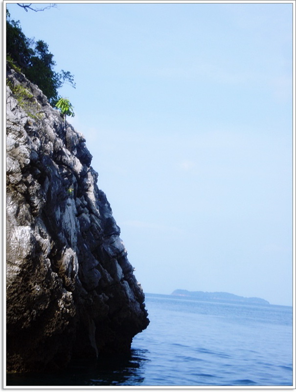 เที่ยงวันนี้ บังอิบ..หุงข้าวสวยแบบรินน้ำ(หุงแบบโบราณ) ทอดปลาเค็ม

และแกงส้ม...ปลาพง((กระป๋อง..แดง)