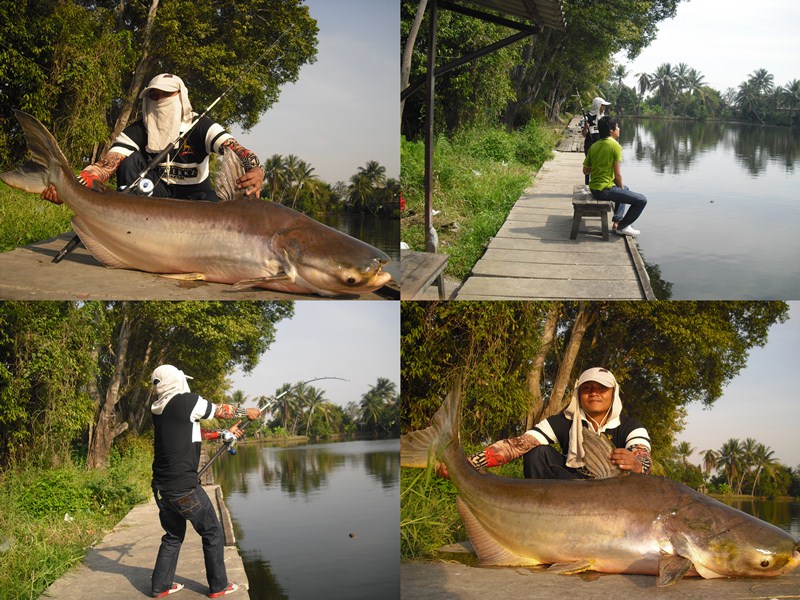 ทิ้งท้ายไว้กับรูปนี้ละกันครับ

ขอขอบคุณน้าๆและ ป้าๆ แห่งSiamfishingทุกท่าน

ที่เข้ามาเยี่ยมชมด้ว