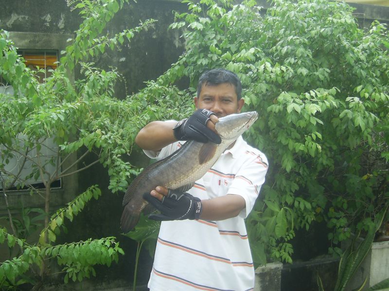 อีกสักภาพครับ :grin: :grin: :laughing: :laughing: