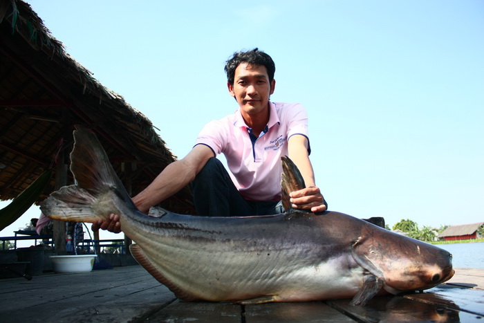 เท่มาก