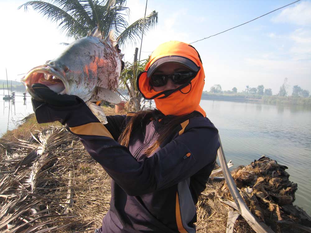 


บ่าย3....แล้ว....ข้าม..มา....จั่ว...อีก....นะ...