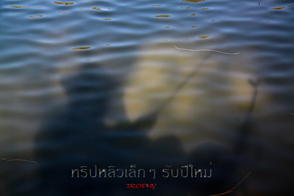 @ ทริปหลิวเล็กๆ รับปีใหม่ @