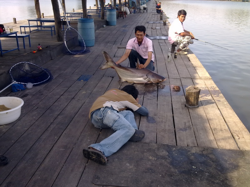 เบื้องหลังการถ่ายทำของน้าโนช

 :laughing: :laughing: :laughing: