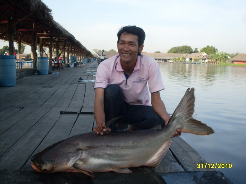 จัดระเบียบใหม่

 :laughing: :laughing: :laughing: