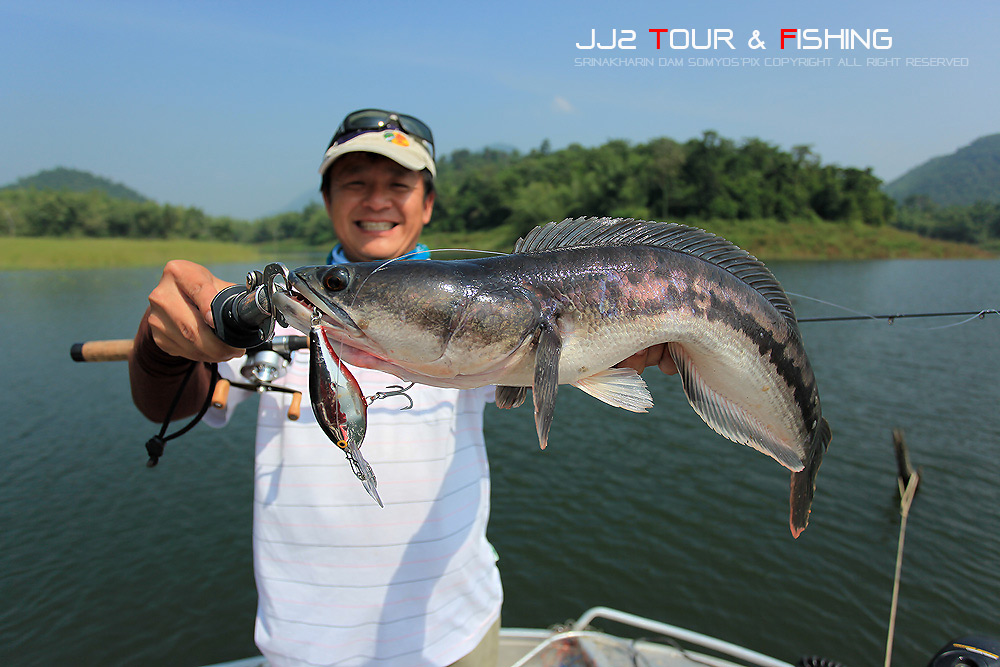 "ยิ้มไม่หุบเช่นกัน"

ผมรีบผูกเรือกับตอไม้ เพื่อเฝ้าอย่างเป็นล่ำเป็นสันซะเลย แล้วชัยชนะก็เป็นของผ