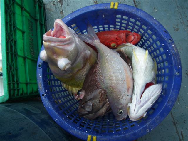 ท้ายเรือก็มาเลื่อยๆๆ