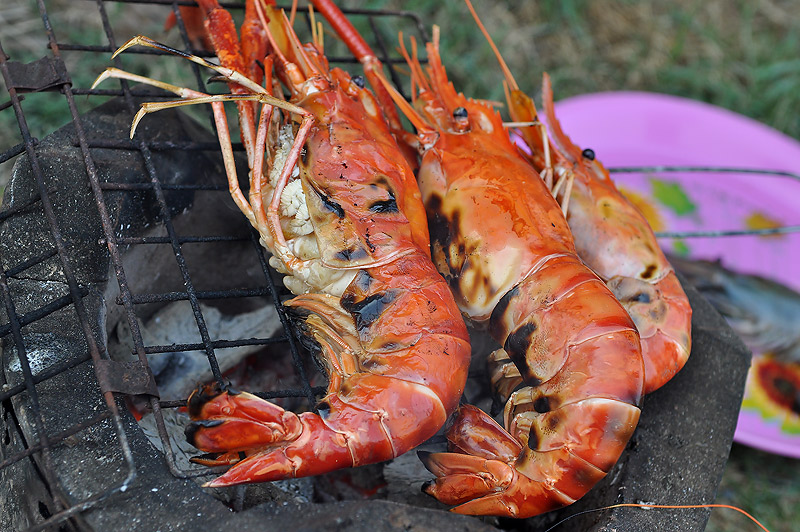 กุ้งเปลี่ยนสี  อิอิ
 :grin: