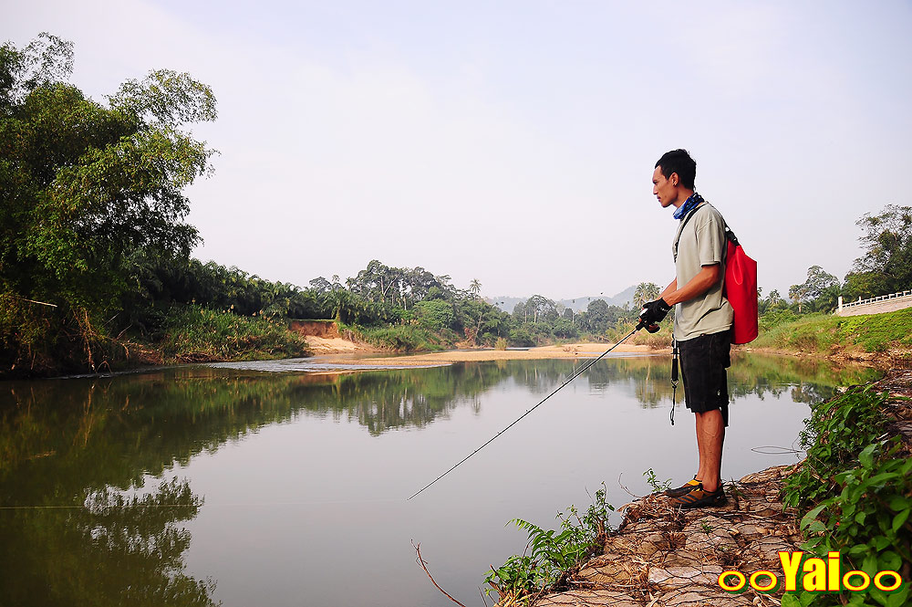 ปลาท่องโก๋ยังไม่ทันย่อย หวดยับเรยน