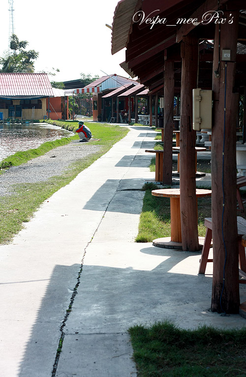  [b]ภาพบรรยากาศบ่อนี้ครับ จะเห็นว่าจ