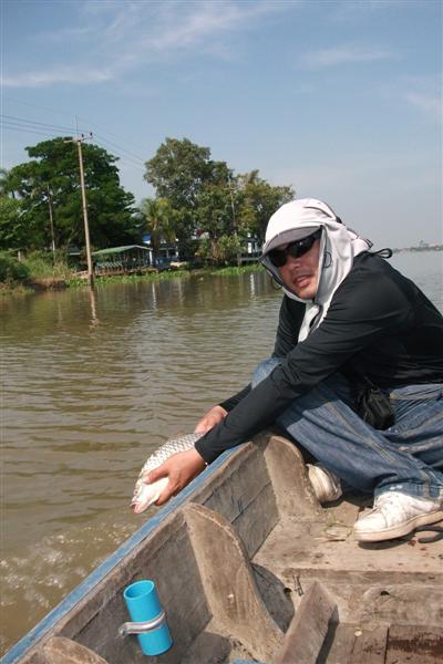 กระสูบเยอะแล้วปล่อยไปบ้างดีกว่า :grin: