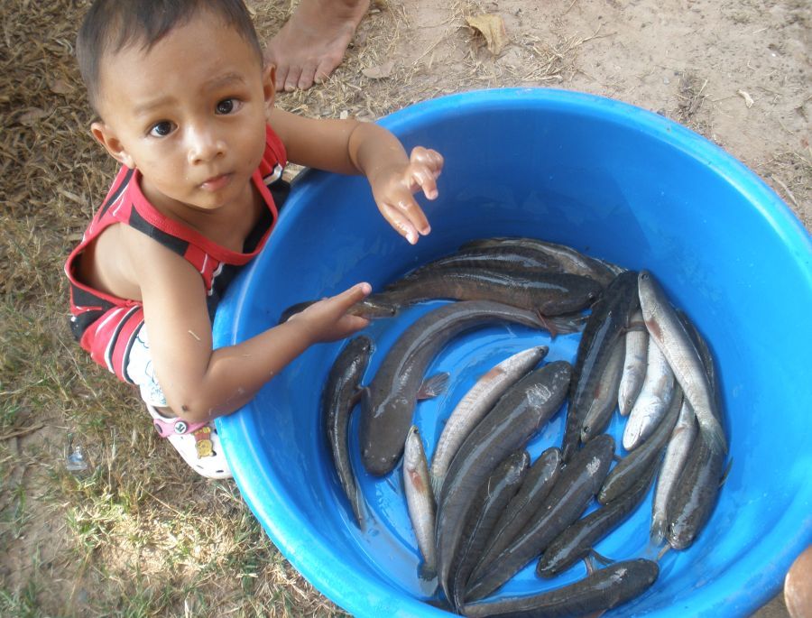  [q]ลูกชายมันบอกผมว่า...........................อยากให