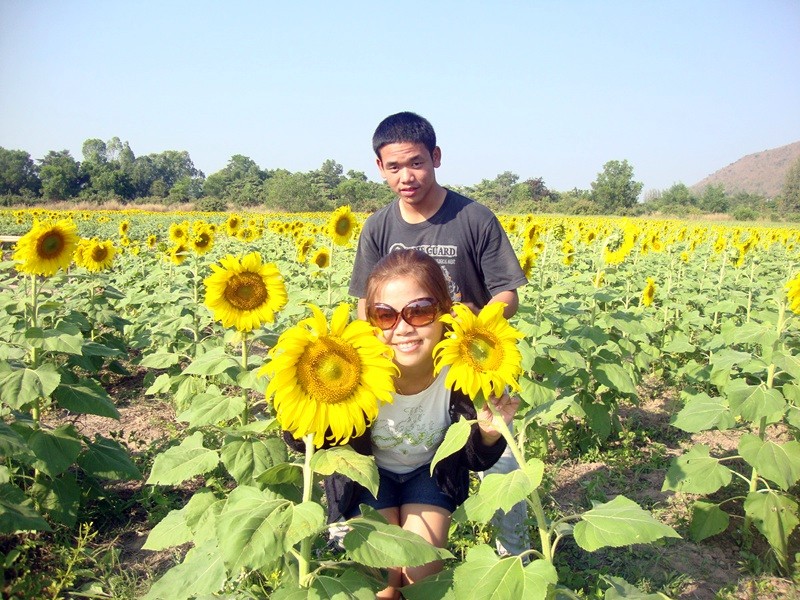 สวัสดีค่ะ..น้า nours66  ขอบคุณที่ติดตามชมค่ะ  :rose: :rose:

[center][b]สวยงาม ประทับใจดีจ้า  :lov