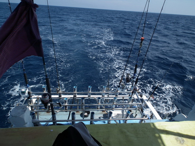 ออกเดินทางสู่เกาะสิมิลัน ทรอลิ่งไปตอลดทาง ได้ปลาโอ 3 ตัว ตายแน่งานนี้จะมีเหยื่อไว้ล่อเก๋าถ่านป่าวน้อ