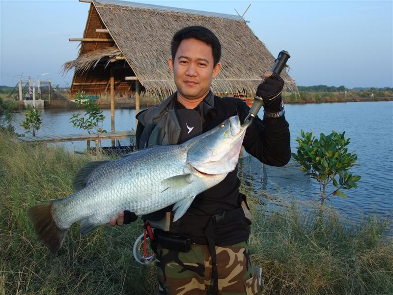พิกัดตัวนี้ 7 โล ครับ :umh: :umh: :umh: :umh: :umh: :umh: :umh: :umh: :umh: :umh: :umh: :umh: