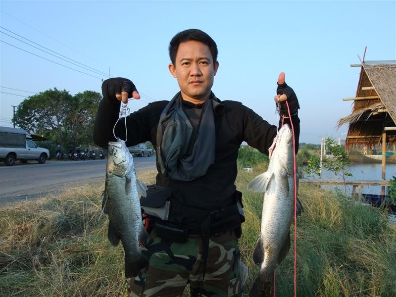 ถ้าอย่างงั๊นต้องเอามาโชว์กันหน่อยครับ อิอิ
:cool: :cool: :cool: :cool: :cool: :cool: :cool: :cool: 