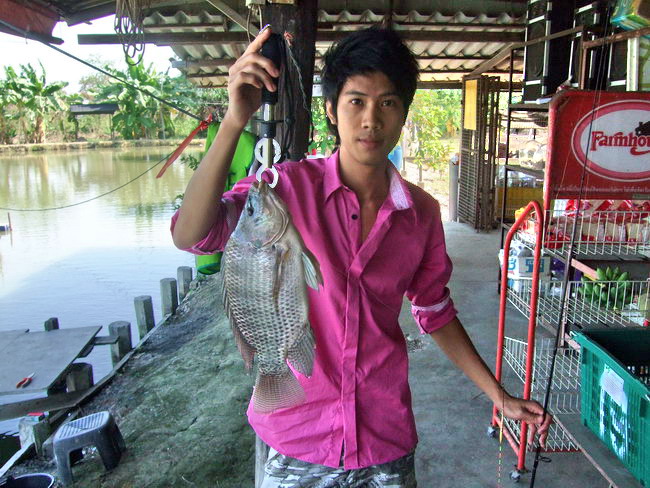 Good Size  :cool: :cheer: :cheer:

จัดจริงอะไรจริง เพลินอะเพลิน :laughing: :cheer: :cheer: