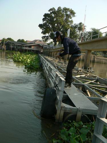 หลังจากเอาเจ้าหมาน้ำไปพักในเรือ หันมาน้องออฟซัดซะแล้ววว