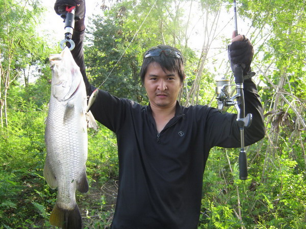 เอาขึ้นมาแล้วก็เก็บหลักฐานก่อนคร้าบ เล็กกว่าของผมเนอะครับ :cheer: :cheer: