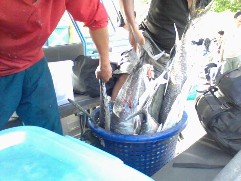 อีกนิด