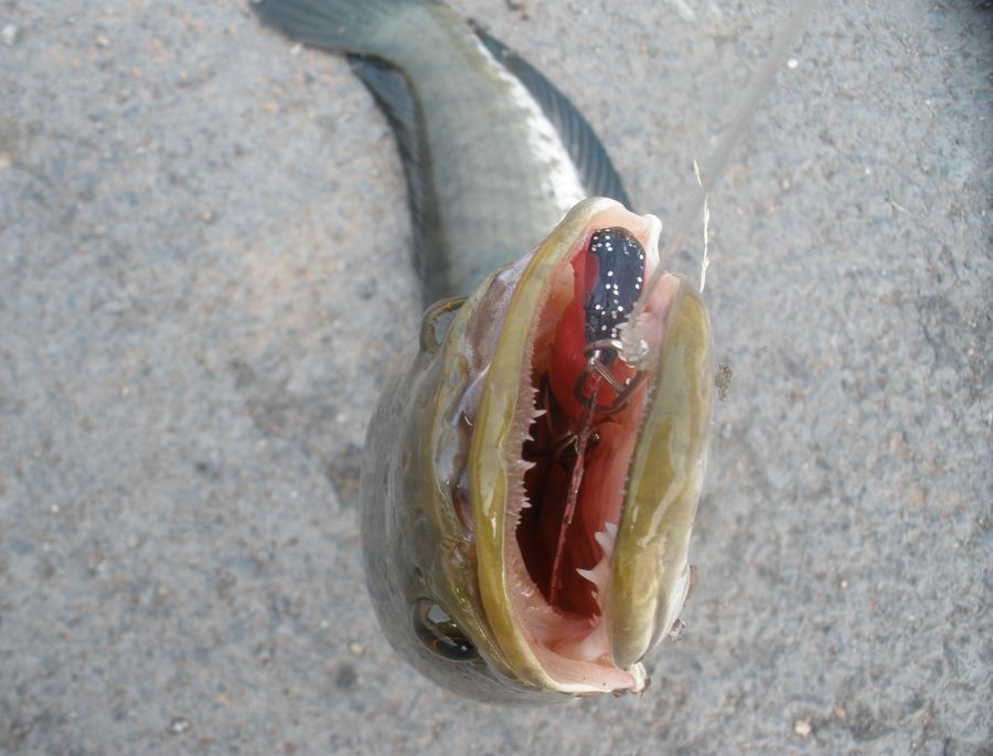  :grin: