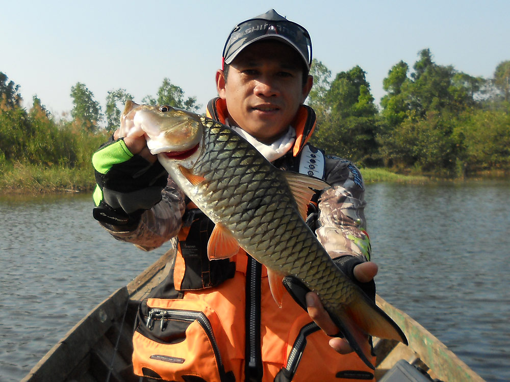 [q][i]อ้างถึง: Alex_kk posted: 12-01-2554, 22:28:22[/i]

ตามลุ้นด้