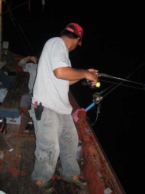ช่วงกลางคืนปลาใหญ่ไม่ฉวย เล่นปลาเล็กไปก่อน มันส์เหมือนกัน ปลาตาโตขนาด3-4 ตัวโล