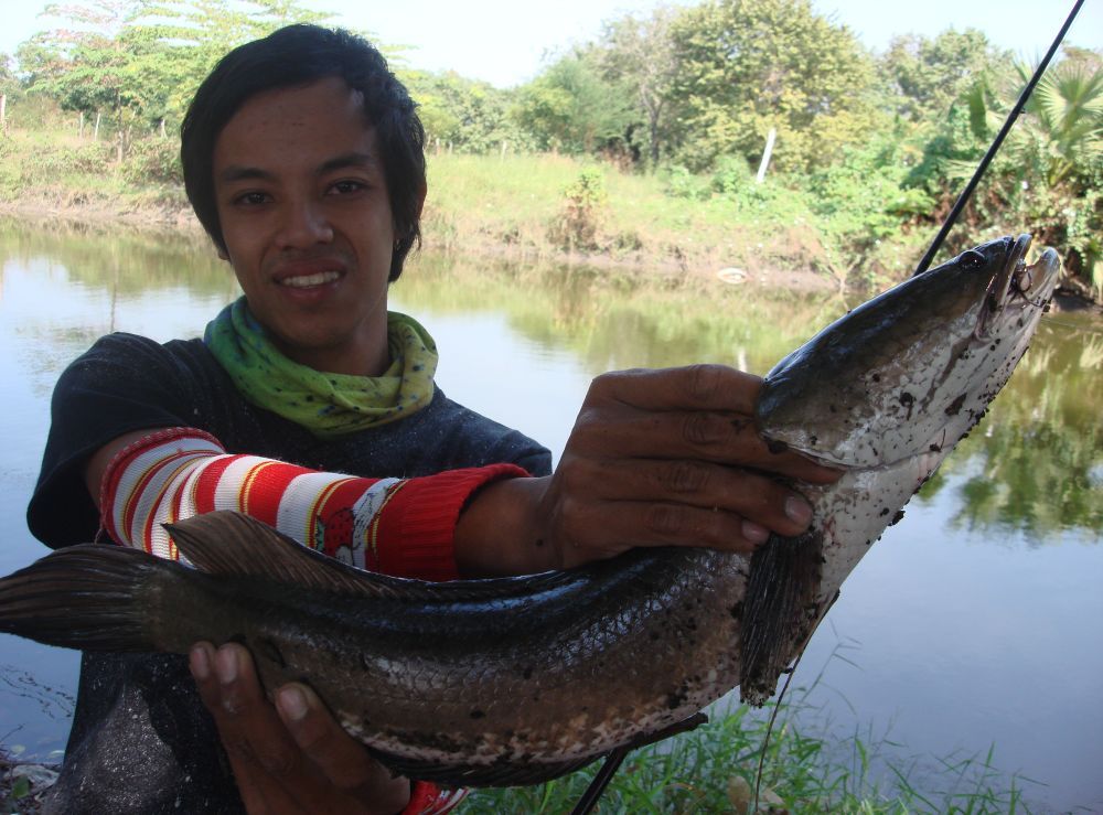 แรงดีกว่าจะได้ขึ้นมามุดอย่างเดียว :smile: