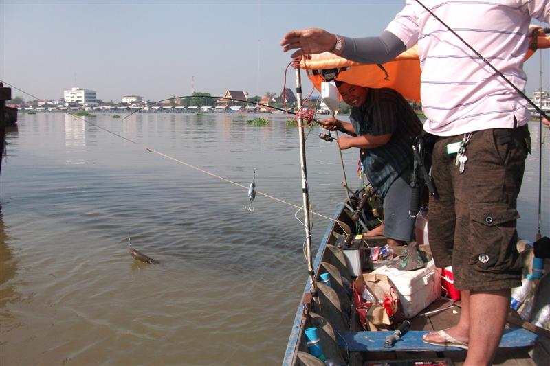 ไต๋ต้นตีอยู่ท้ายเรือโดนบ้าง :grin: