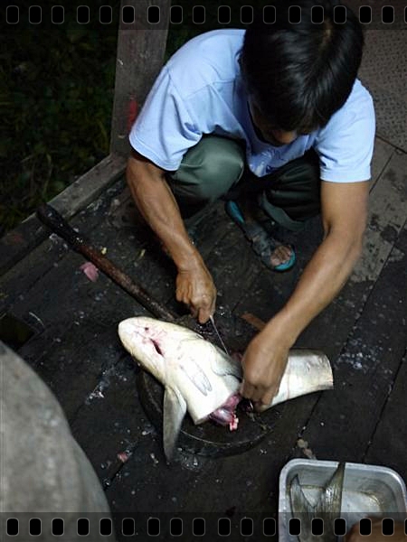 
...ไม่ช่วยตกปลา..55..ต้องกลายมาเป็นพ่อครัวทำปลาแทน..รพินทร์ สายบุรี โปรอันดามันเจอฤทธิ์อ่าวไทย...จ
