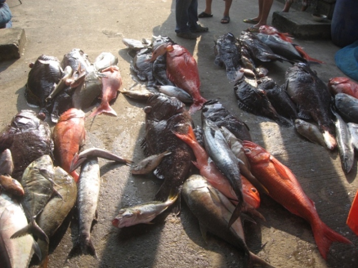 ภาพบางส่วนของทริปสิมิลัน ของเรือโอเชี่ยนวัน๑
ภาพเพิ่มเติมอาจจะมีสมาชิกที่ไปด้วยเอารูปรายละเอียดมาลง