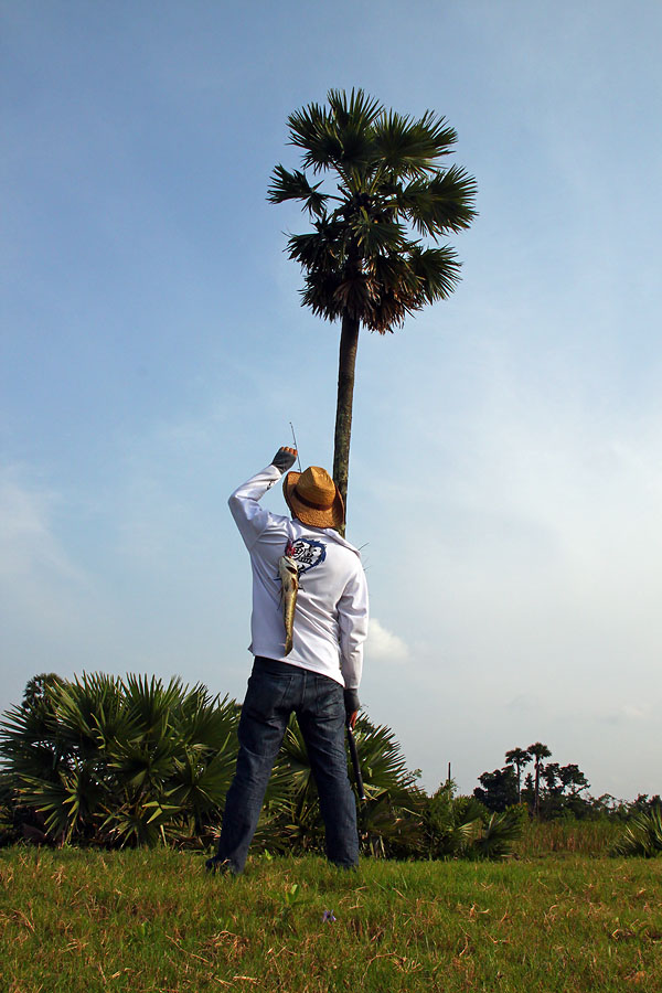 [q][i]อ้างถึง: เด็กพระบาง posted: 22-01-2554, 19:32:16[/i]

+1+  น้าทําได้ดีมากครับ   :cheer: :che