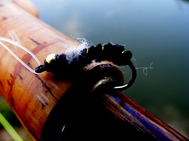 Fly tying : Bead Head Nymph