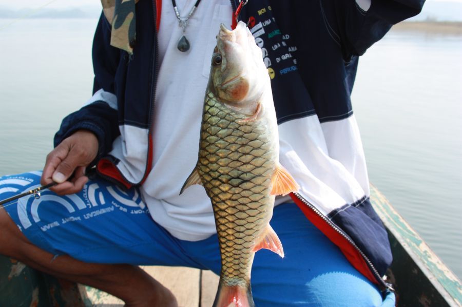 เบ็ดตาเดียวเต็มปาก :grin: :grin: :grin: