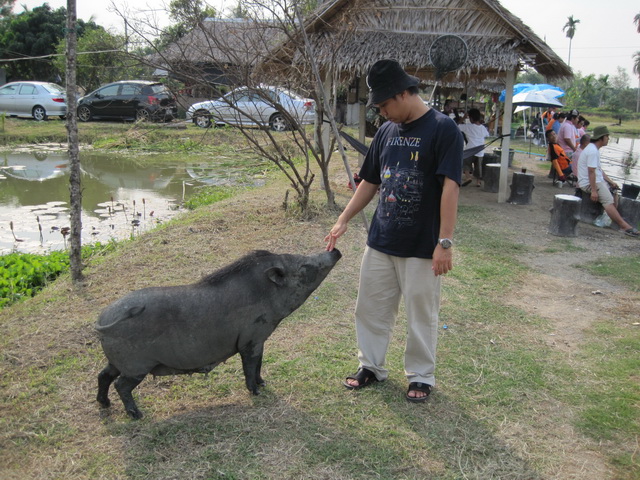 น้าอู๊ด เดินมาหาหมู คับบบ
ก็เพราะหมู มัน เรียก อู๊ดๆ... :laughing: :laughing: