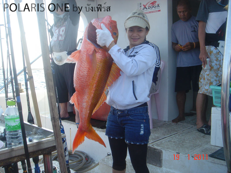 สวัสดีครับ น้าMadAss135 :love:
สวัสดีครับ น้าตัวอะไร :love:
สวัสดีครับ น้าks.fishingteam :love:
ส
