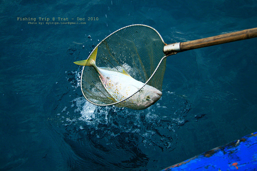 ไม่ช้าไม่นาน...แขกของเราก็ถูกเชิญขึ้นเรือ...แชกำ นั่นเอง  :cheer: