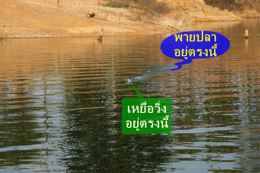 มีเสียวอีกแล้วครับท่าน