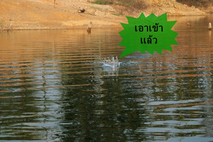 สวัสดีครับ น้า กะดี่น้อย  ( ขอบคุณมาก