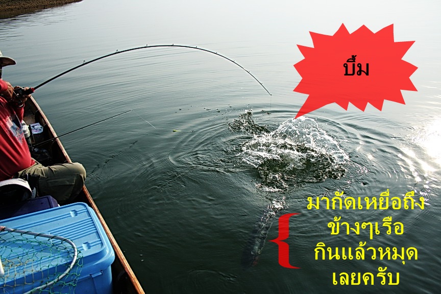 ตกใจหมดเลย :ohh: