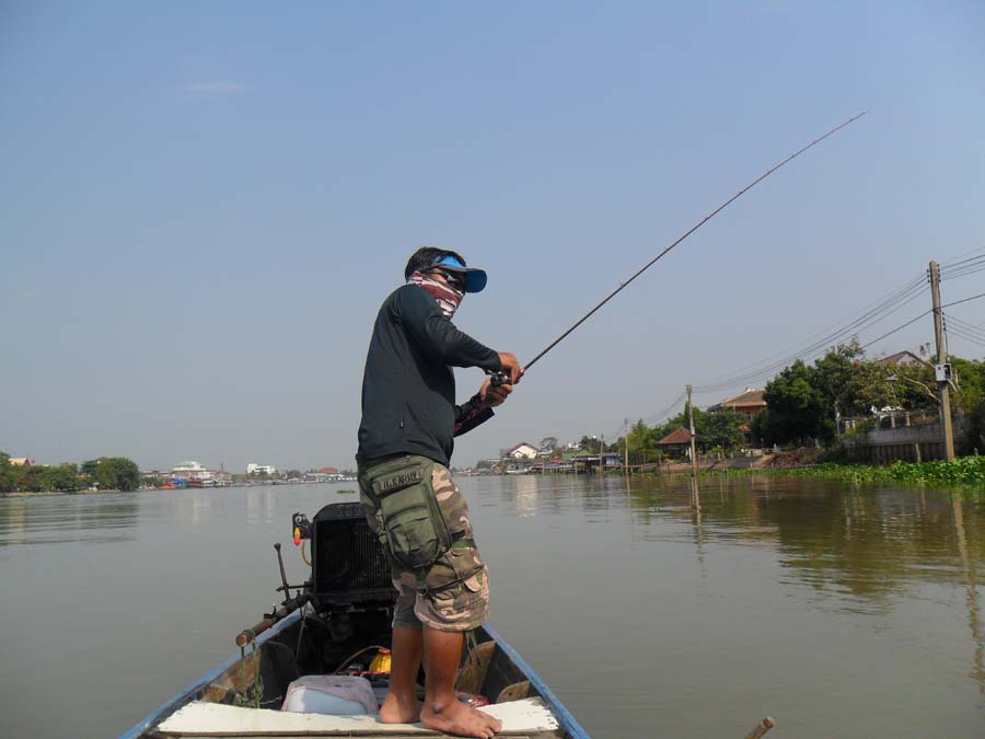 คำเตือน.......ภาพนี้อาจบาดตาบาดใจใครหล