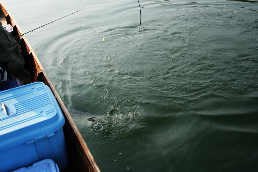สงสัยจะร้อนวิ่งเข้าท้องเรือ :grin: :grin: