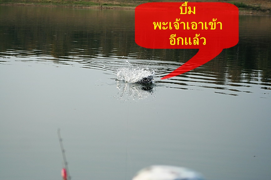  :ohh: :ohh: